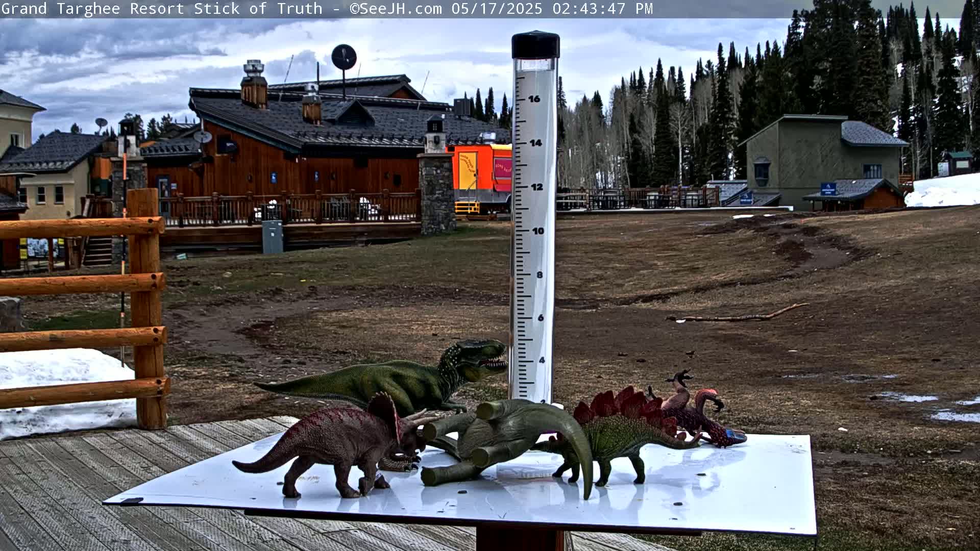 Teton, Grand Targhee Ski Resort Stick of Truth Live Cam - Alta, Teton, Wyoming, USA