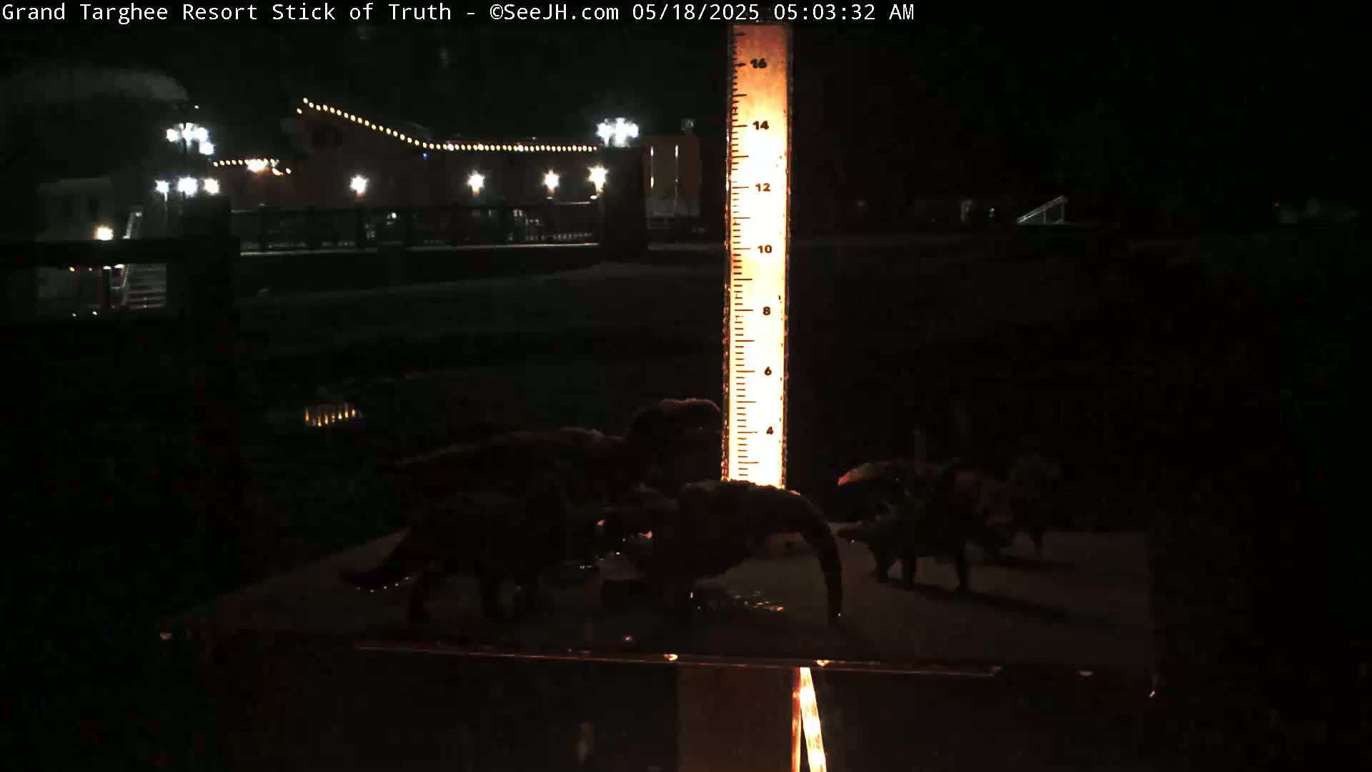 At night, several dark, indistinct objects resembling small dinosaurs are arranged on a dark surface near a illuminated measuring stick, with a brightly lit building in the background.