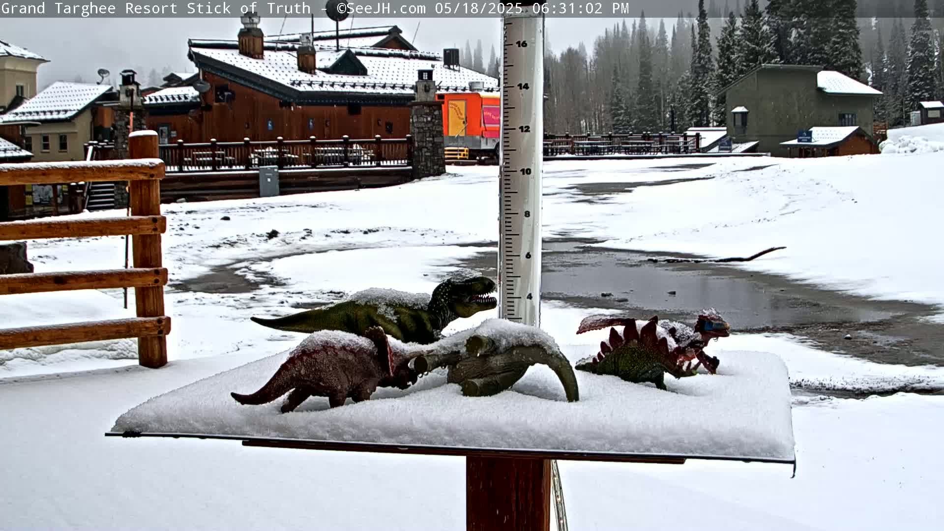 Teton, Grand Targhee Ski Resort Stick of Truth Live Cam - Alta, Teton, Wyoming, USA