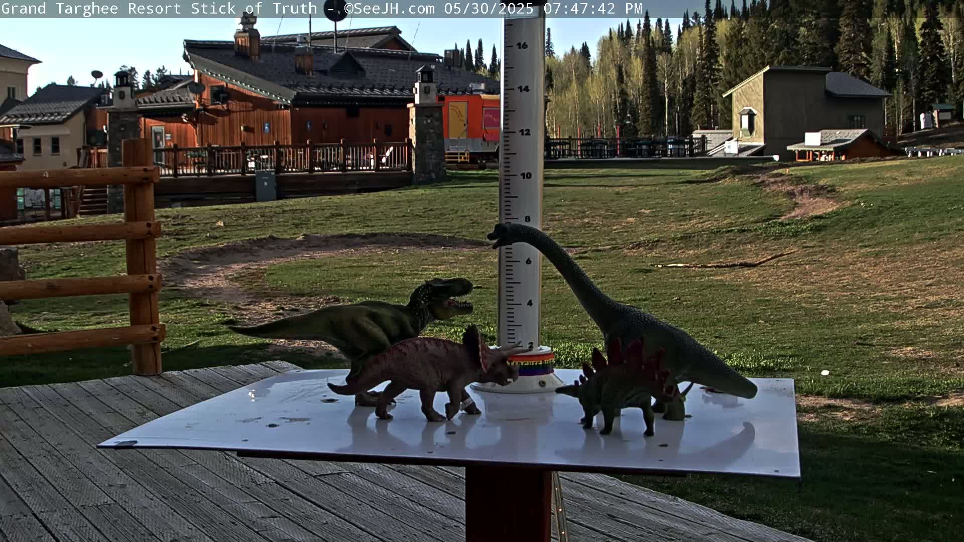 Several toy dinosaurs are arranged around a rain gauge on a deck overlooking a grassy area with buildings and trees in the background, under a sunny sky.
