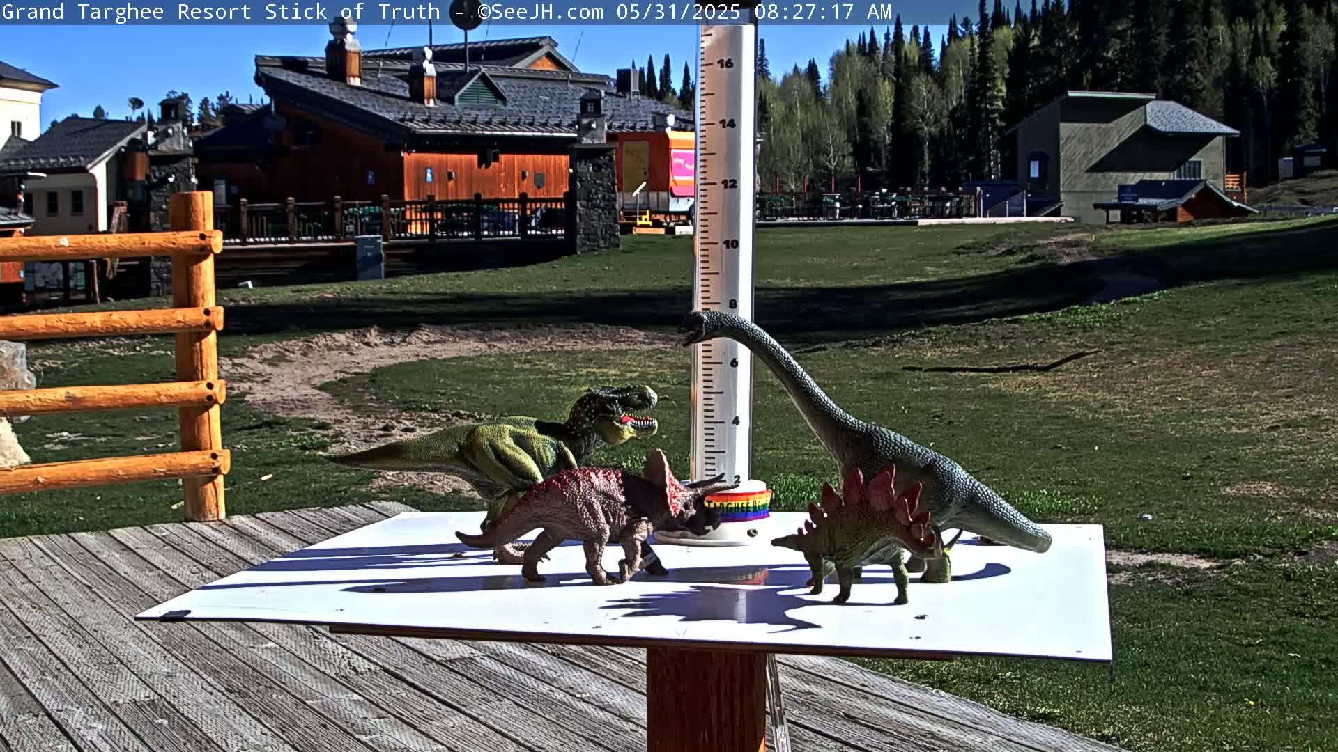 Several plastic dinosaur toys are arranged on a white surface on a wooden deck overlooking a grassy area with buildings and trees in the background on a sunny day.