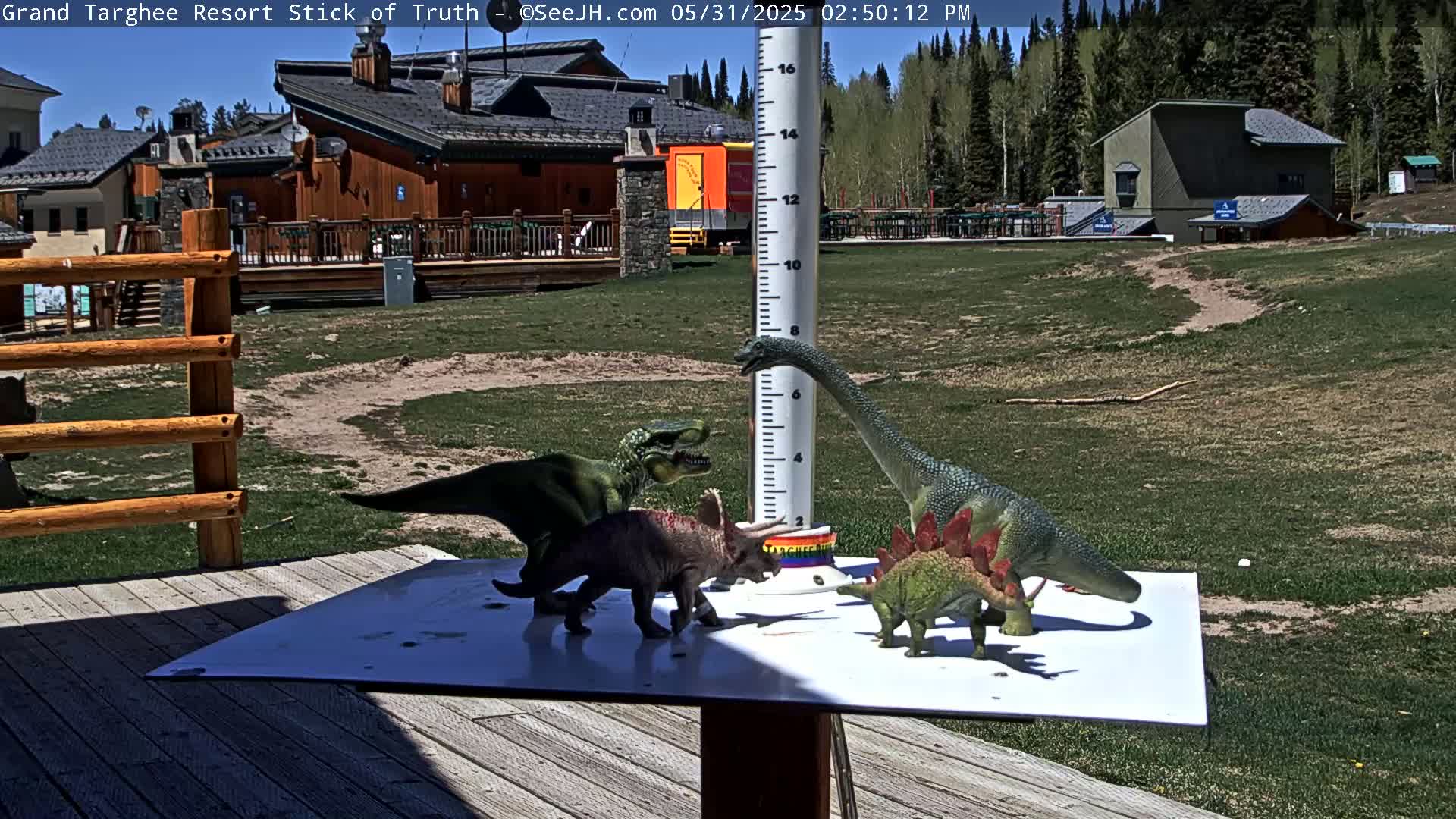 Several toy dinosaurs are arranged on a white surface on a sunny deck overlooking a grassy area with buildings and trees in the background.