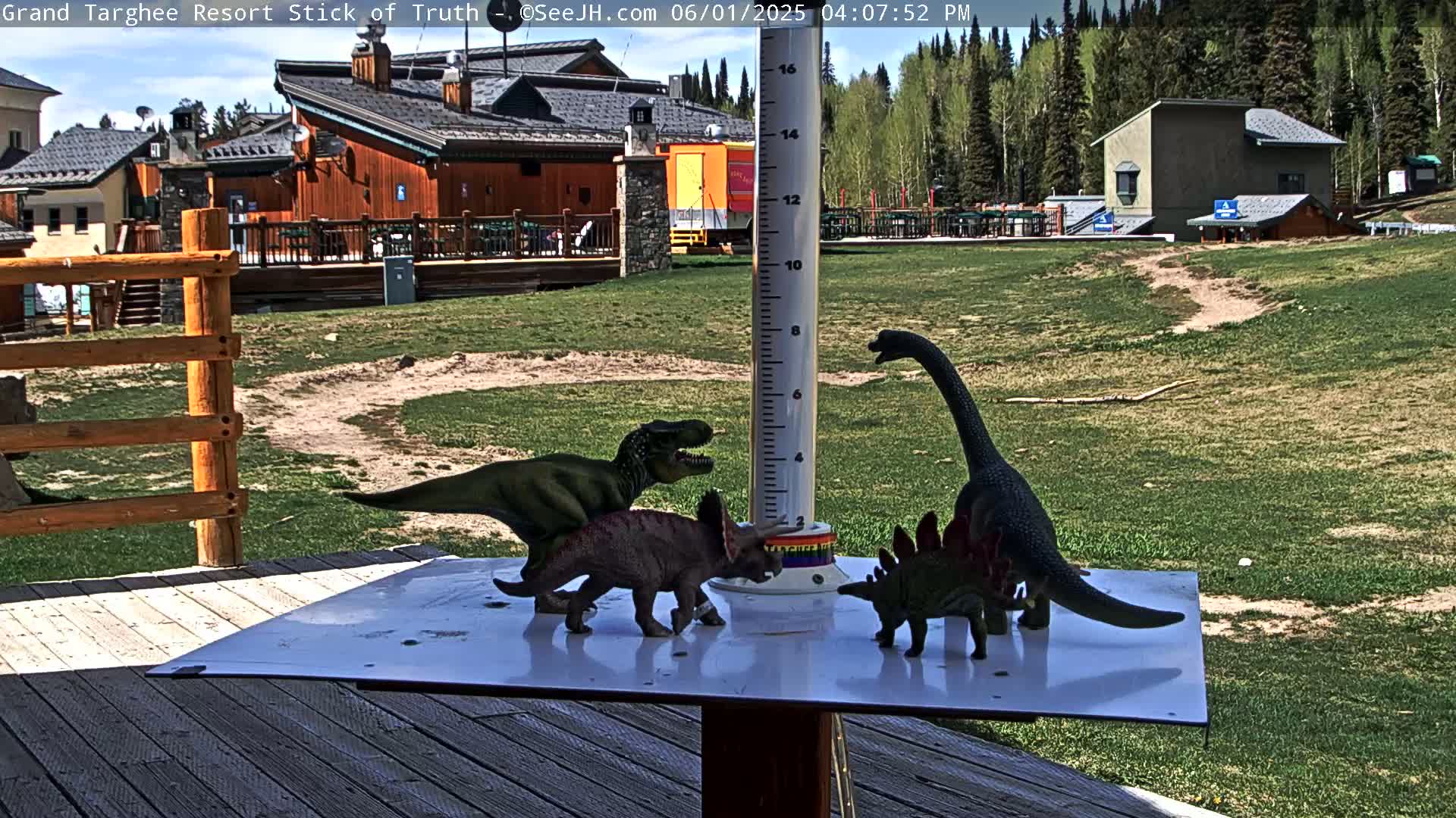 On a sunny day, several plastic dinosaur toys are arranged on a white surface outdoors, near a wooden deck and buildings in a grassy area.