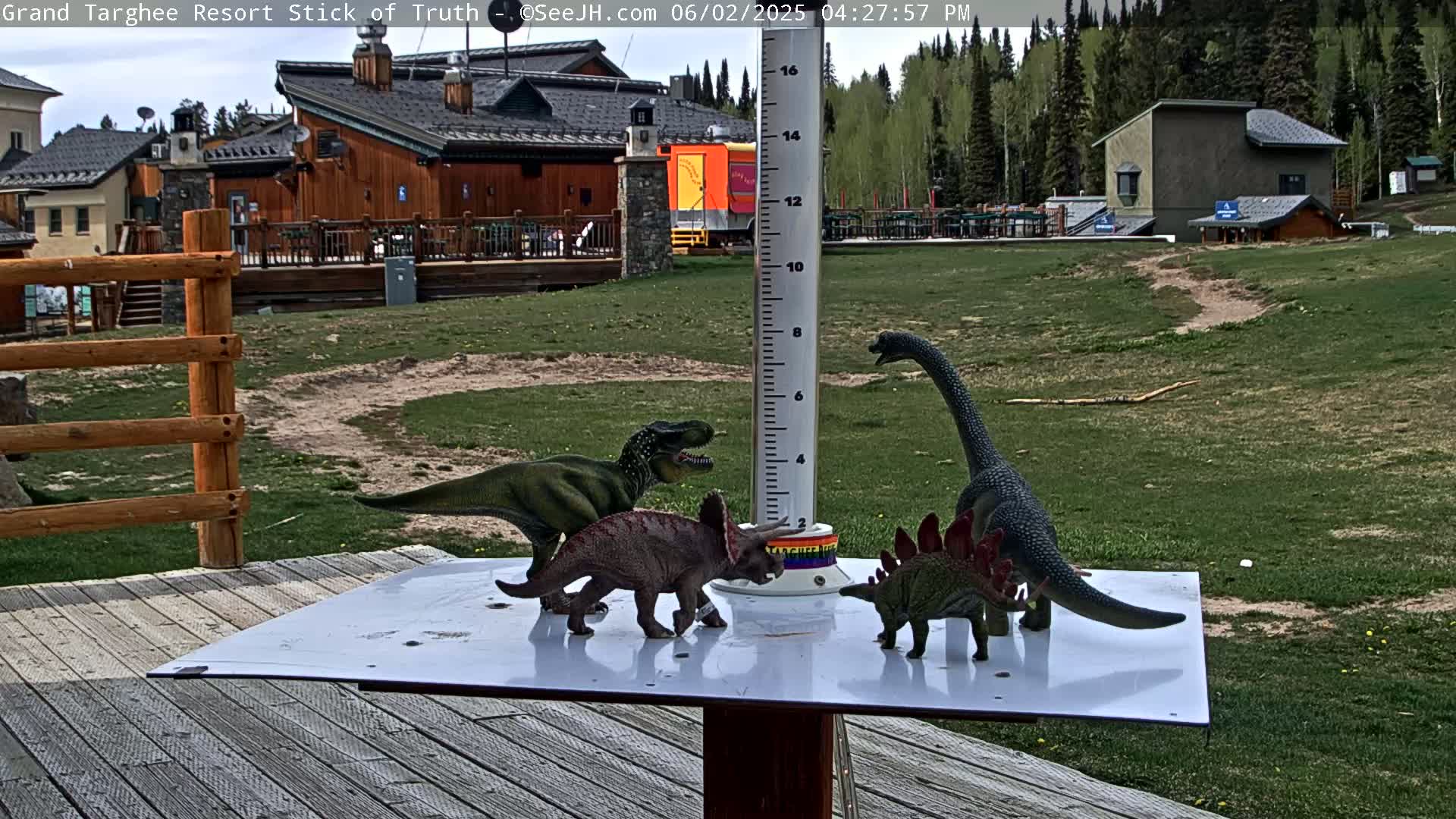 Several dinosaur toys are arranged on a white surface outdoors on a deck, with a grassy area and buildings in the background on a sunny day.