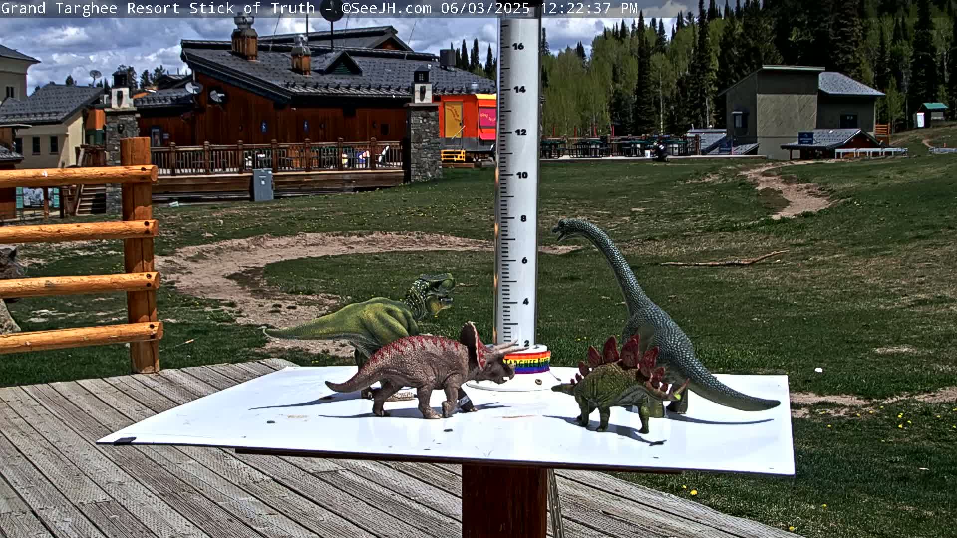 Several toy dinosaurs are arranged on a white surface near a wooden deck and a building on a partly sunny day.