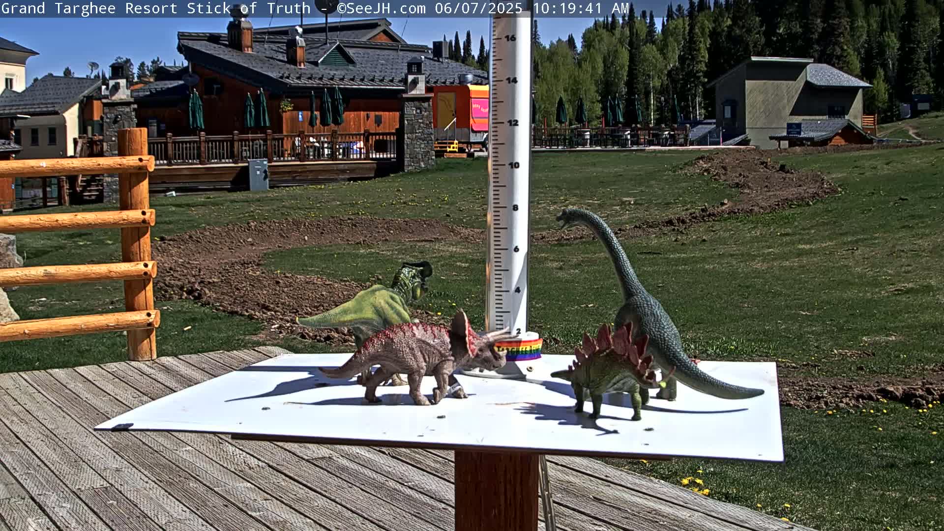 Four toy dinosaurs are arranged on a white board on a wooden deck overlooking a grassy area with buildings in the background on a sunny day.