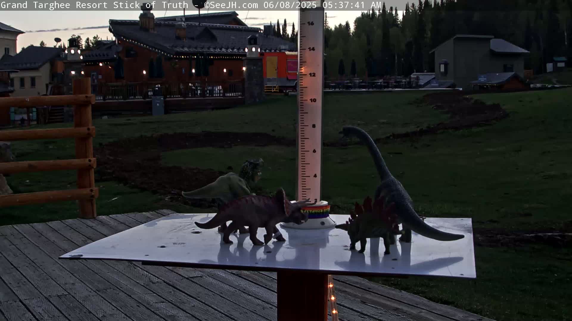 Several toy dinosaurs are arranged around a rain gauge on a deck at twilight, with buildings and a grassy area visible in the background.