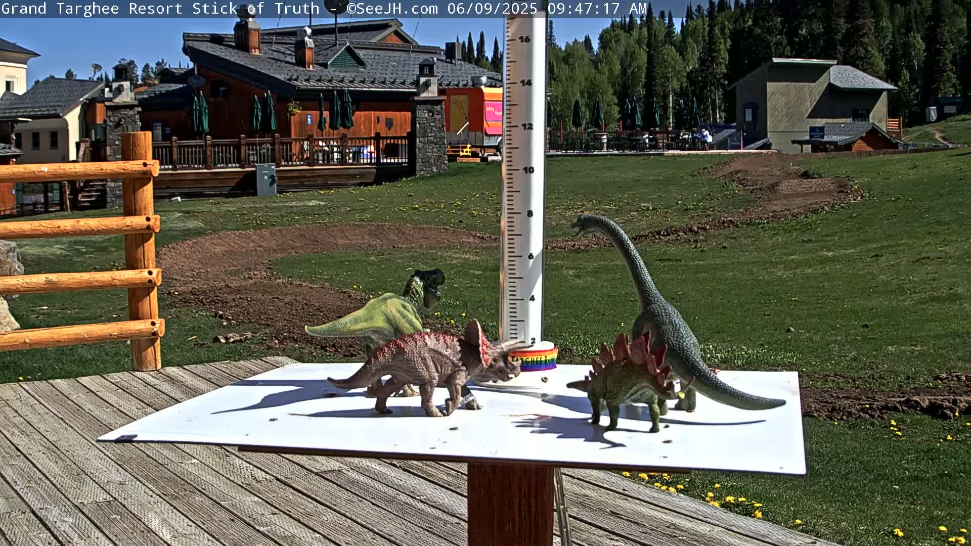 On a sunny day, several plastic dinosaur toys are arranged on a white surface near a wooden deck and a building, with a rain gauge in the background.