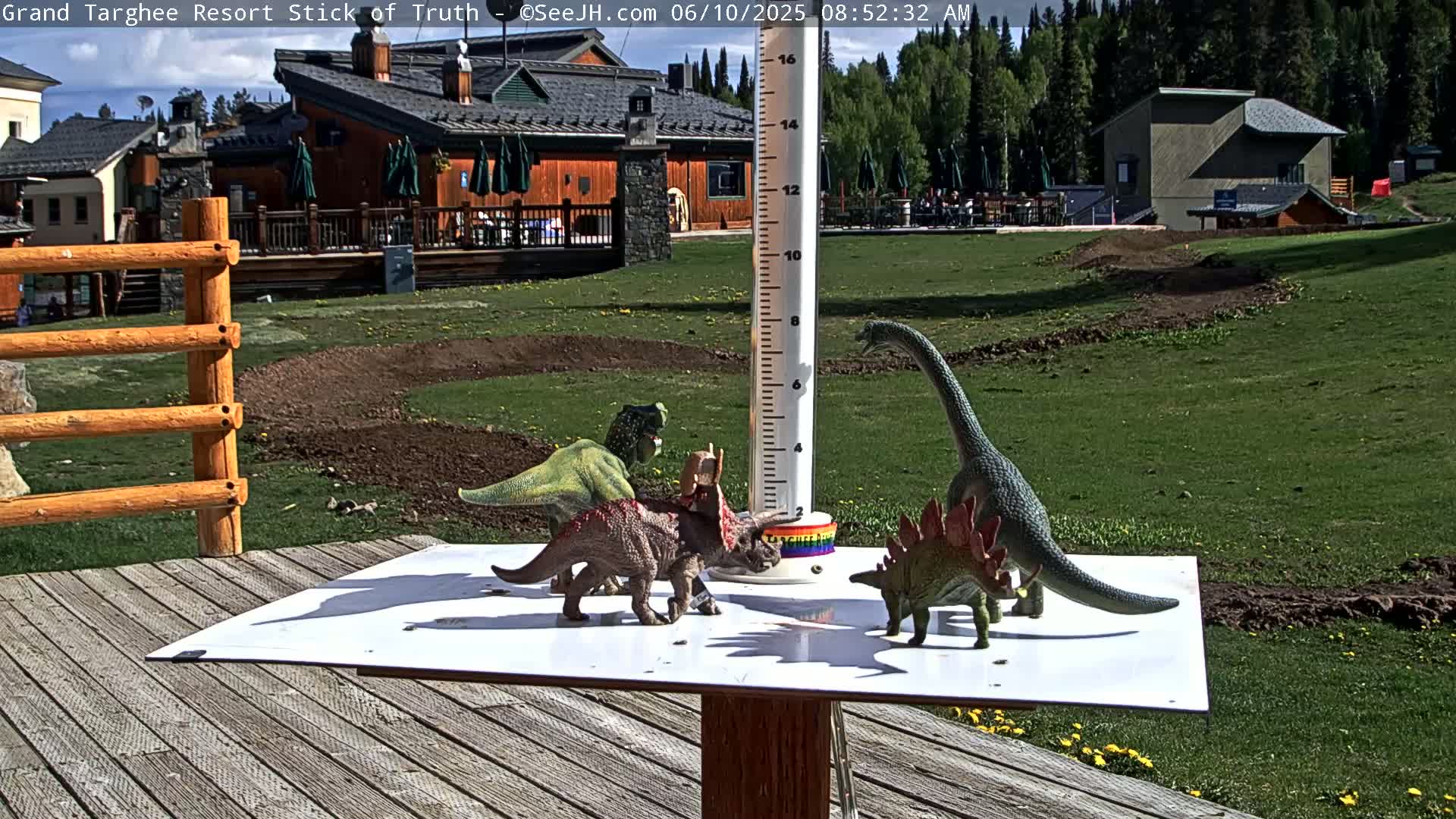 On a sunny day, several plastic dinosaur toys are arranged around a rain gauge on a wooden deck, with a grassy area and buildings visible in the background.