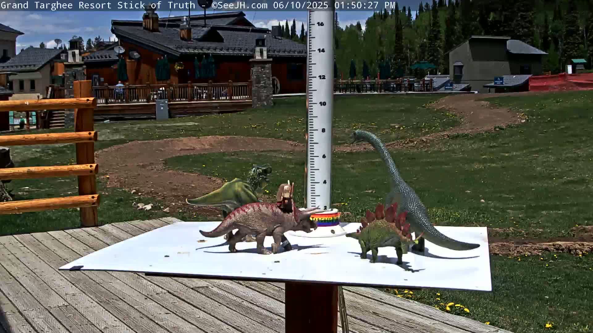 Teton, Grand Targhee Ski Resort Stick of Truth Live Cam - Alta, Teton, Wyoming, USA