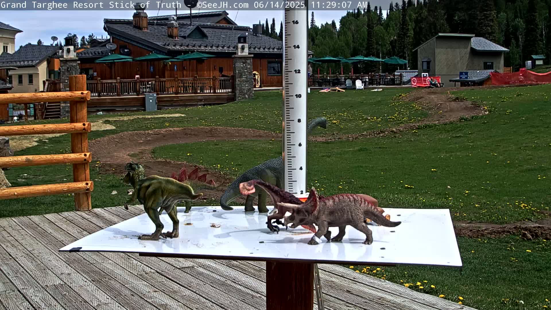 Several plastic dinosaur toys are arranged on a white surface next to a wooden deck and a building, with a partly sunny outdoor setting.