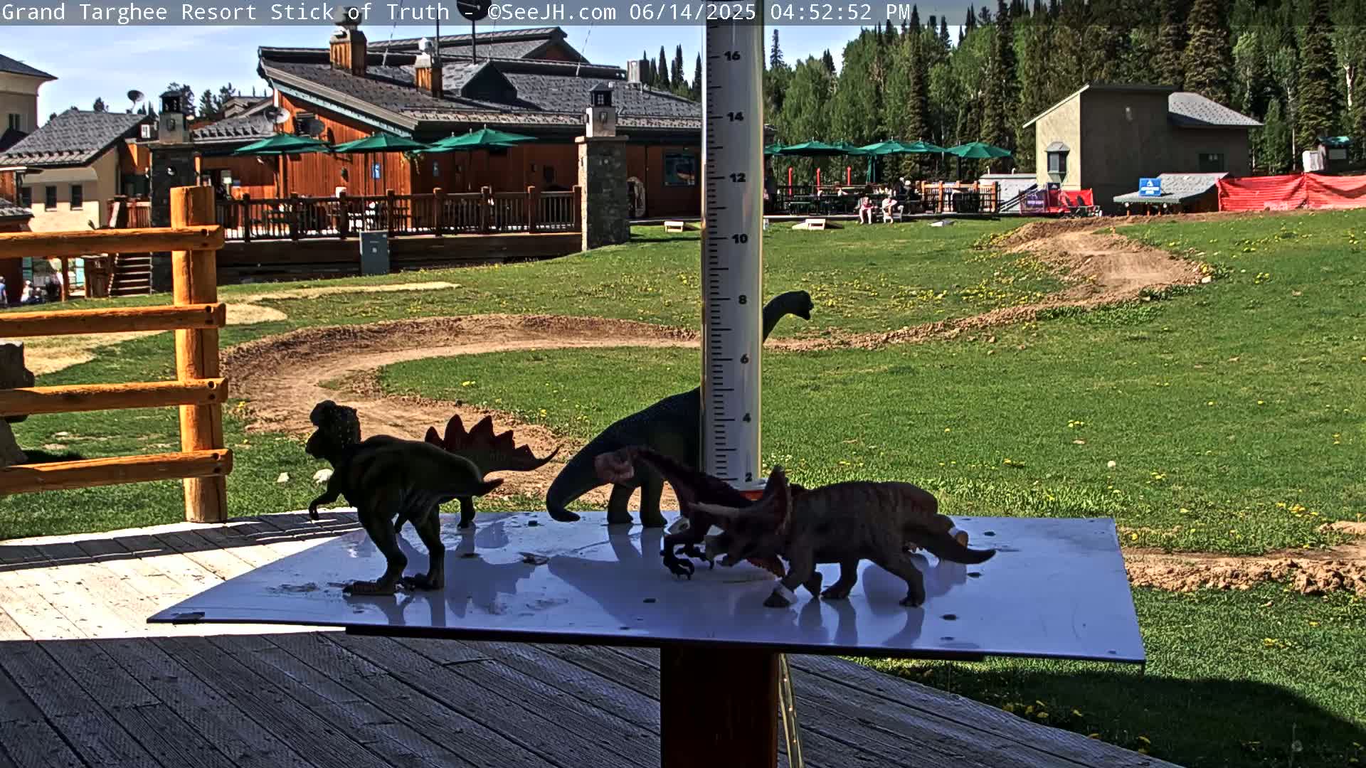 Several plastic dinosaur toys are arranged on a white surface next to a wooden deck and a building, with a partly sunny outdoor setting.
