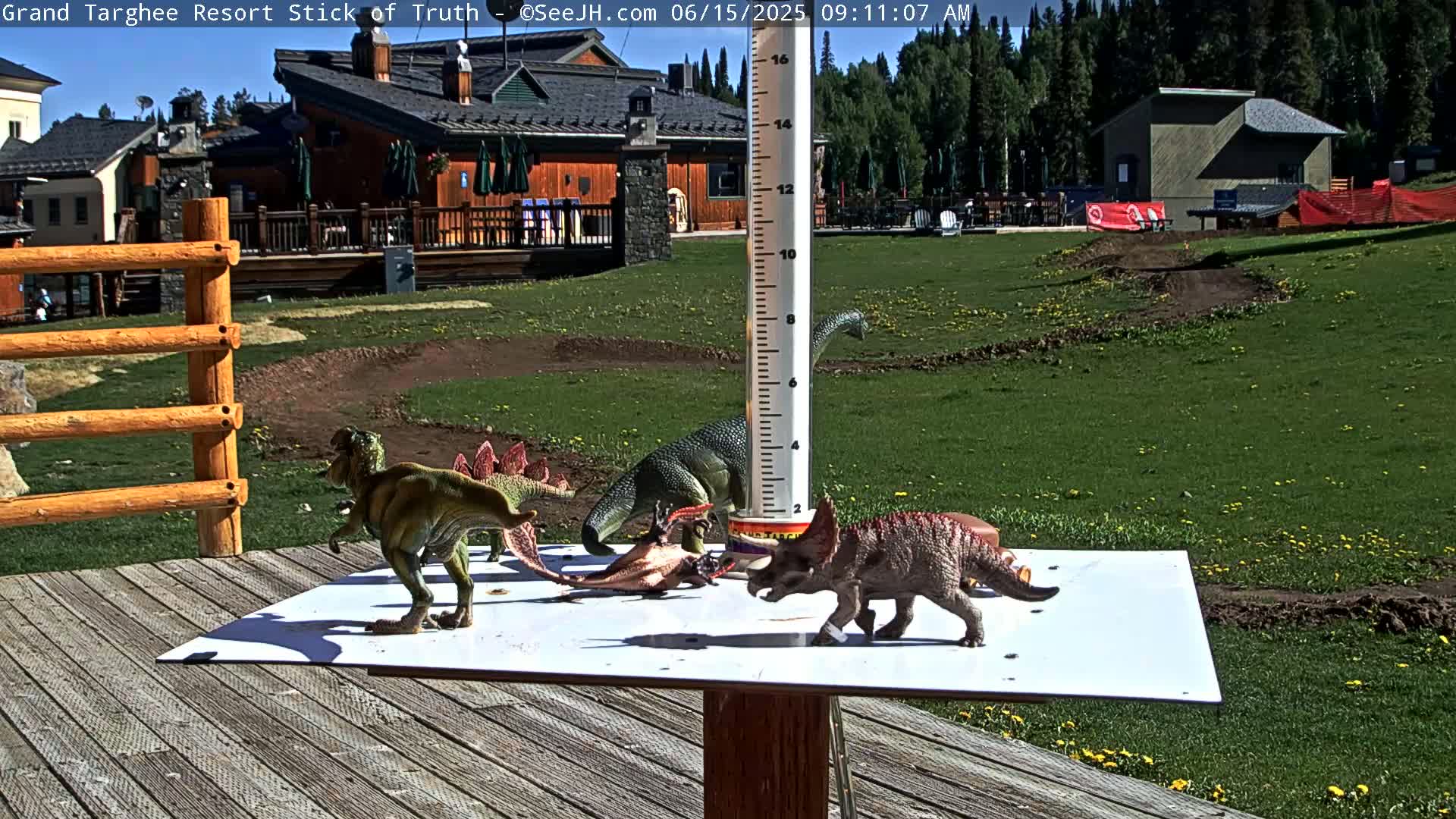 Several toy dinosaurs are arranged on a white surface near a wooden railing on a sunny day, with buildings and a grassy field in the background.