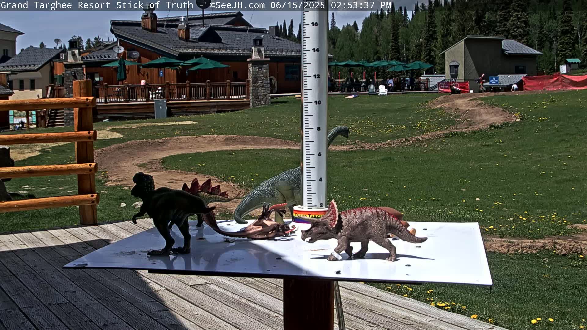 Teton, Grand Targhee Ski Resort Stick of Truth Live Cam - Alta, Teton, Wyoming, USA