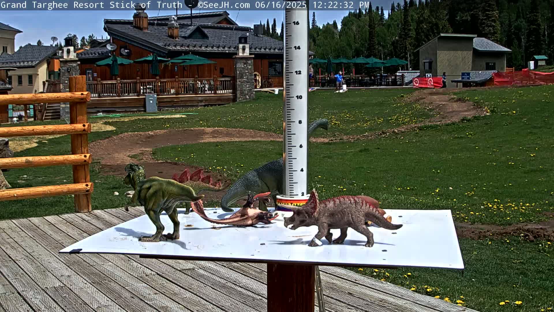 Several toy dinosaurs are arranged on a white surface outdoors on a sunny day near a wooden building and a grassy area with a dirt path.
