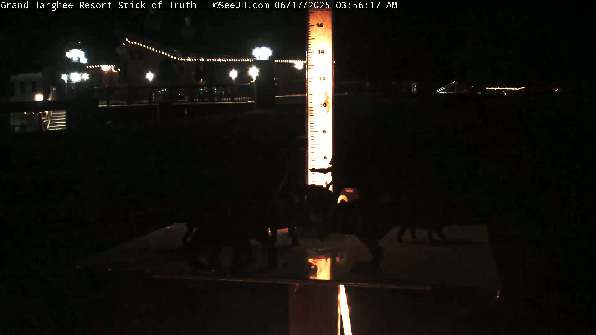 At night, several dark figures are gathered around a tall, illuminated measuring stick in front of a dimly lit building with string lights.