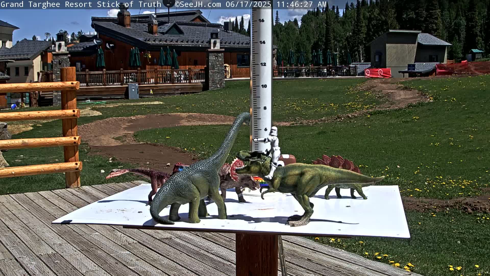 Several plastic dinosaur toys are arranged on a white surface next to a wooden deck, with a building and grassy area visible in the background under a sunny sky.