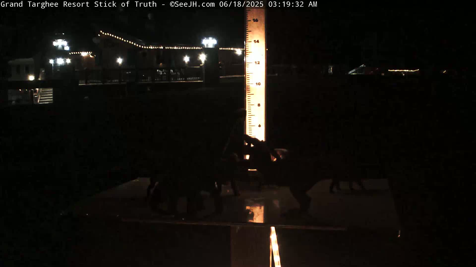At night, several dark figures are clustered around a tall, illuminated measuring stick in front of a building with lights.