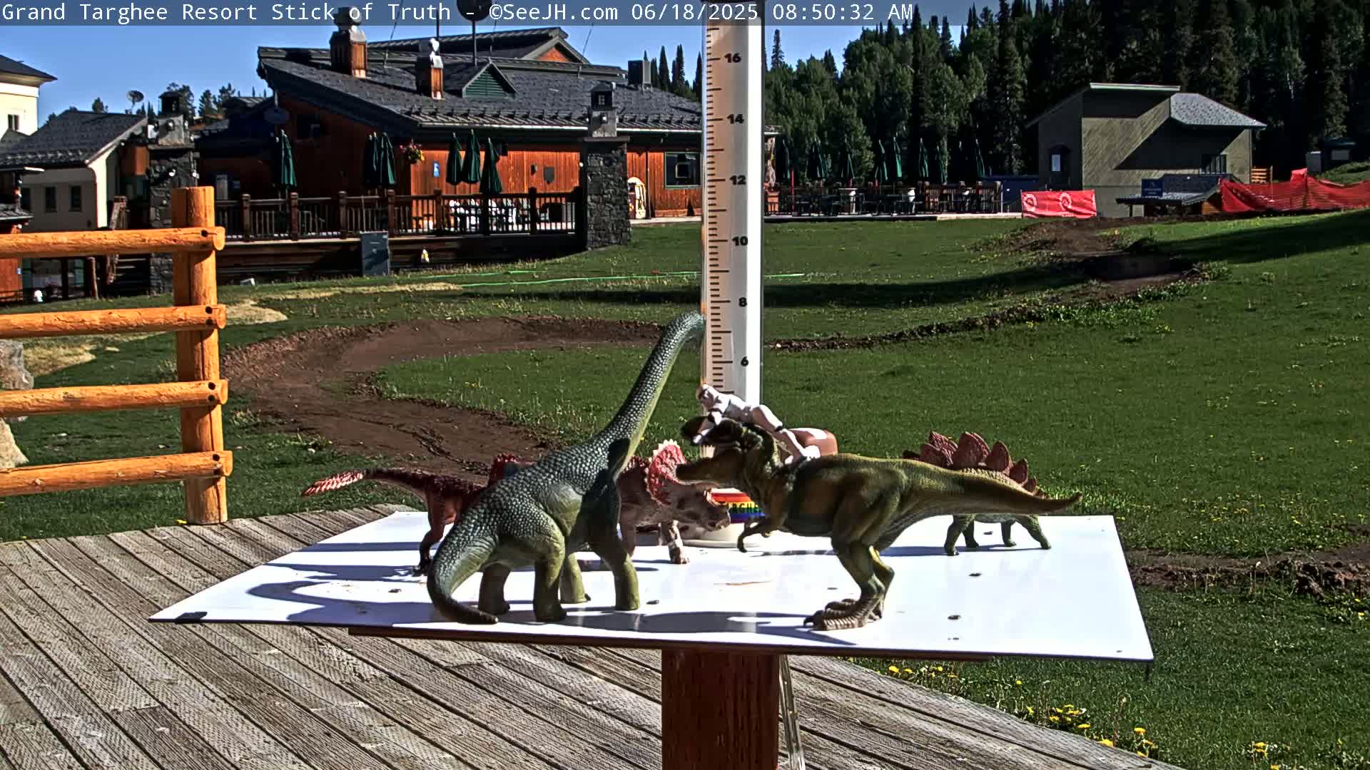 Several plastic dinosaur toys are arranged on a white surface outdoors on a sunny day near a wooden fence and buildings.