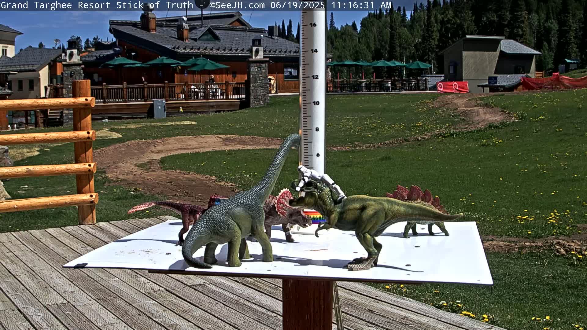 Several dinosaur toys are arranged on a white surface near a wooden deck and a tall, thin weather instrument, all situated on a sunny grassy area outside a building.