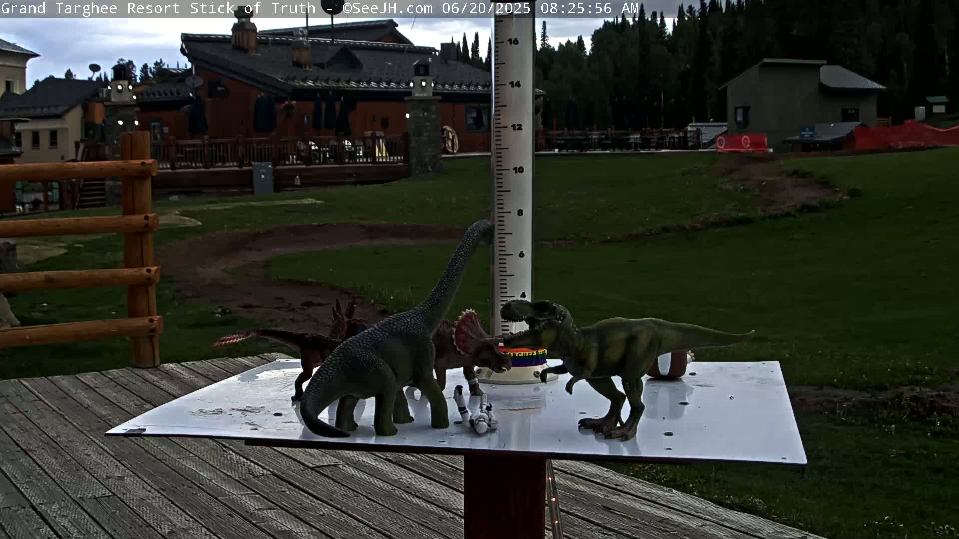 Several toy dinosaurs are arranged around a rain gauge on a deck overlooking a grassy area with buildings in the background, under overcast skies.