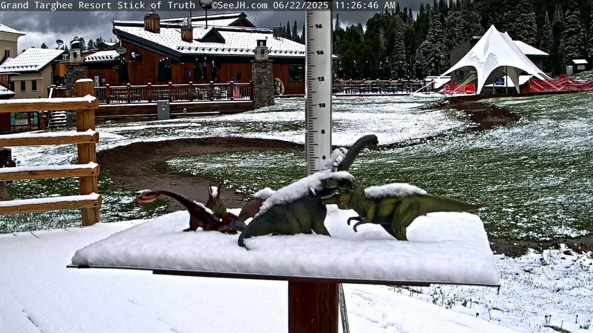Snow-covered dinosaur toys sit on a snow-covered surface in front of a snow-dusted building and grassy area.