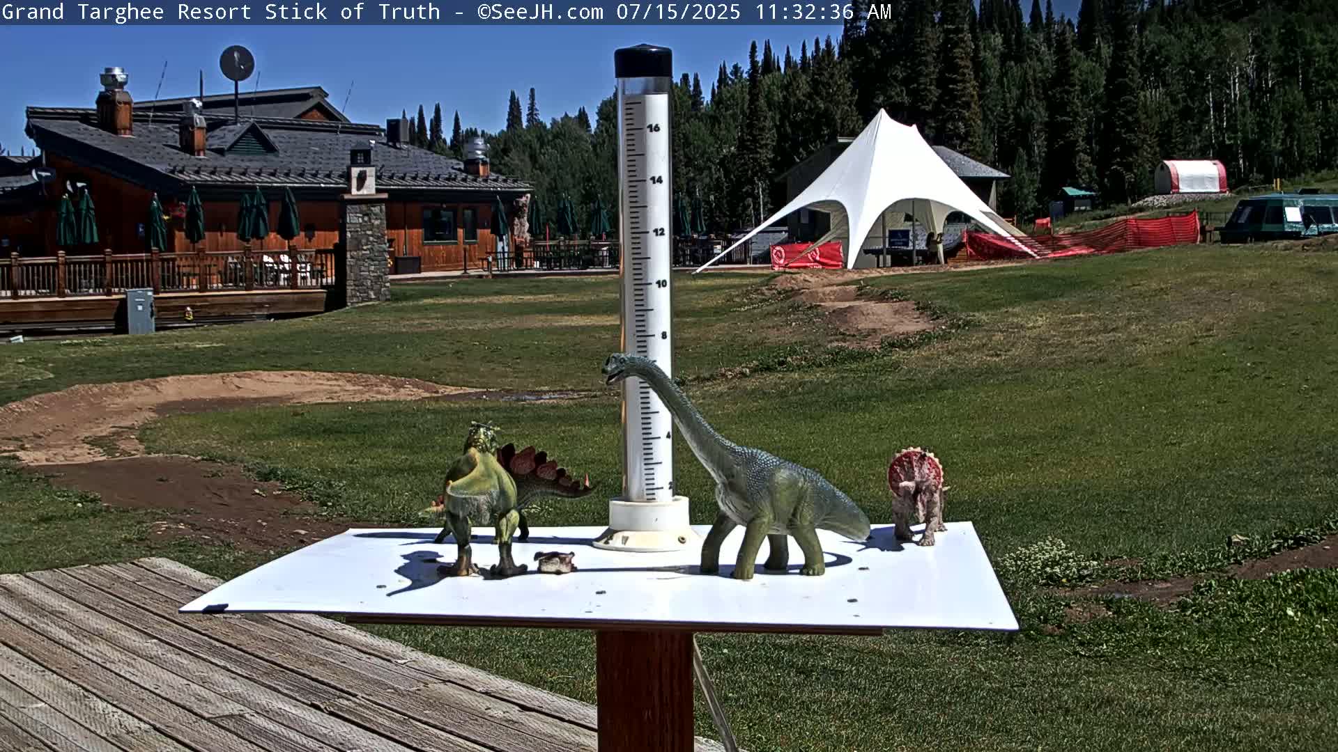 Three plastic dinosaur toys are arranged on a white surface next to a rain gauge on a sunny day in a grassy area near a building and a white tent.