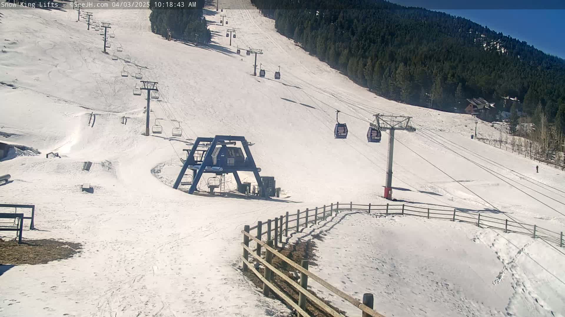 A snow-covered ski slope with several chairlifts and gondolas, under a sunny sky, is bordered by a wooden fence and a coniferous forest.