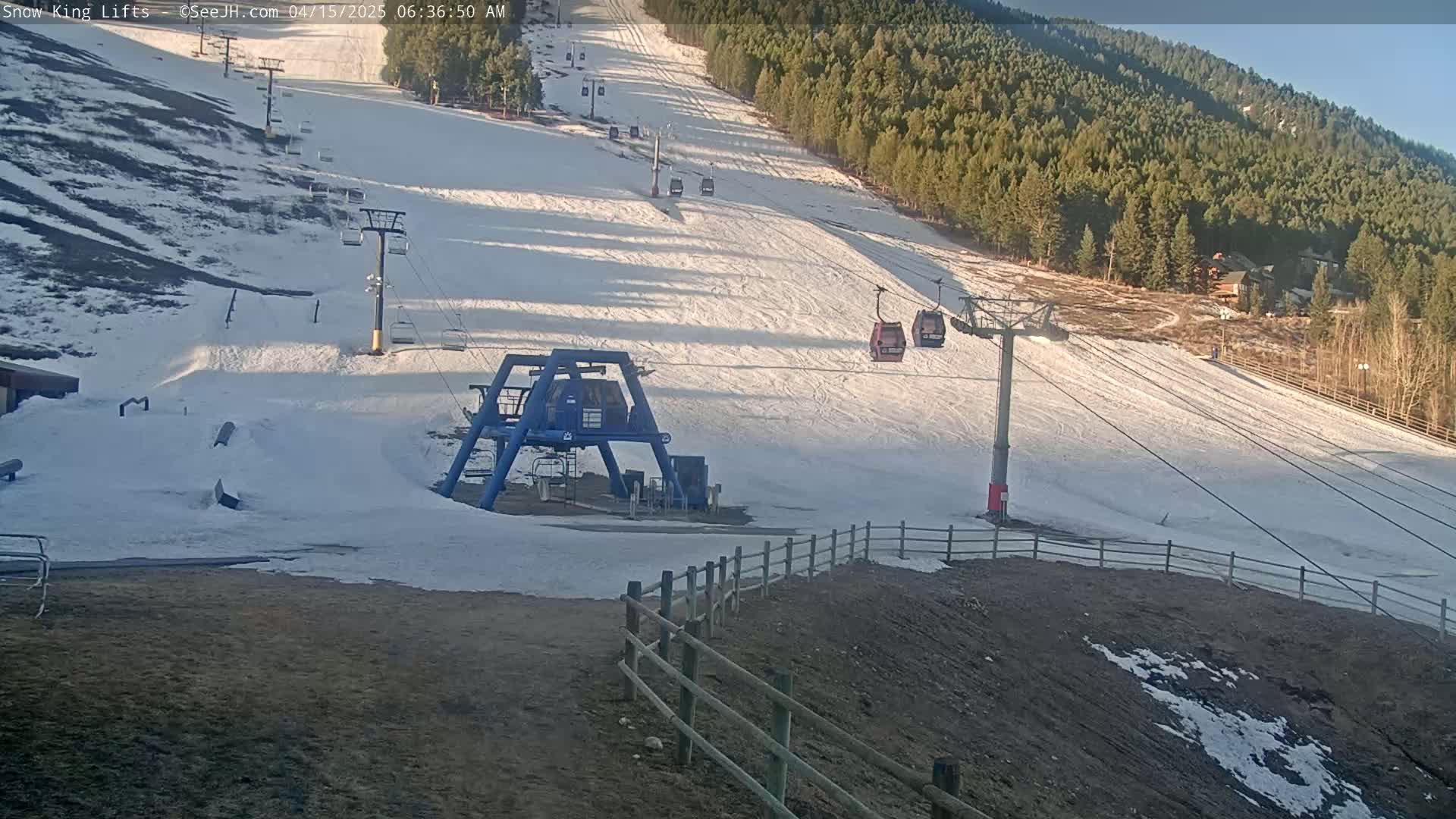 A ski lift base station and several chairlifts ascend a snow-covered ski slope in front of a pine forest on a sunny day.