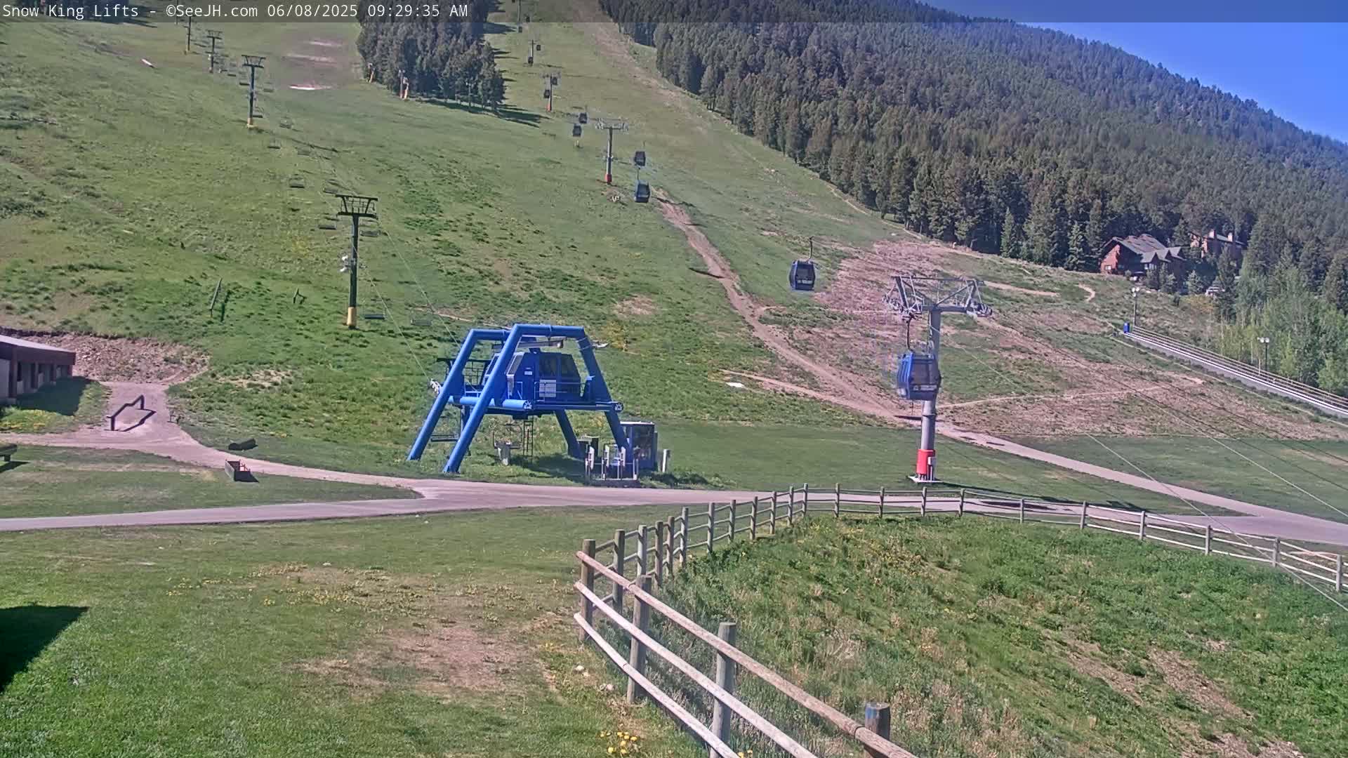 A sunny view of a ski lift area in the summer, showing chairlifts and grassy slopes with a forested mountain in the background.