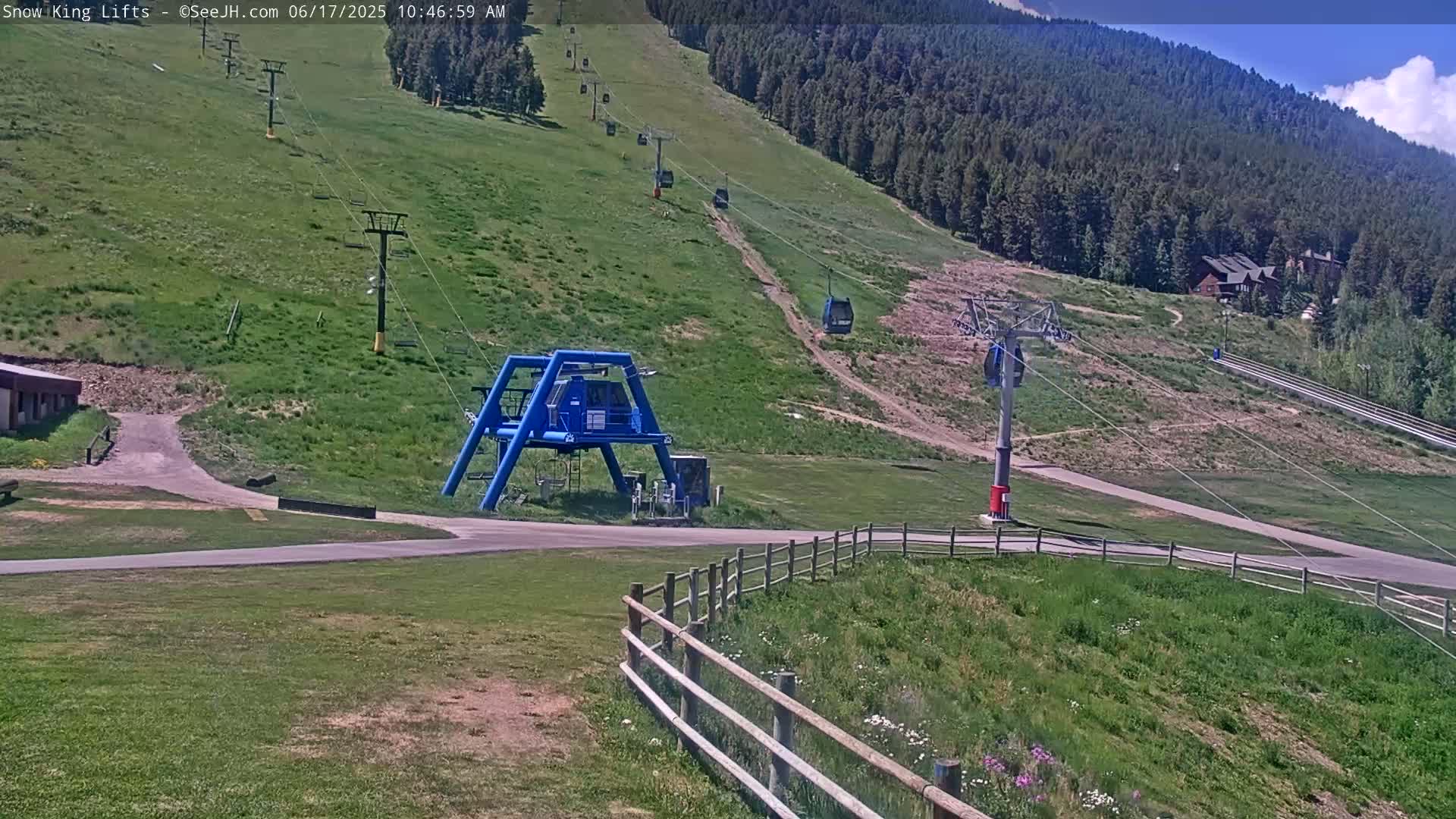 A sunny day at a ski resort shows several chairlifts ascending a grassy hillside dotted with evergreen trees.
