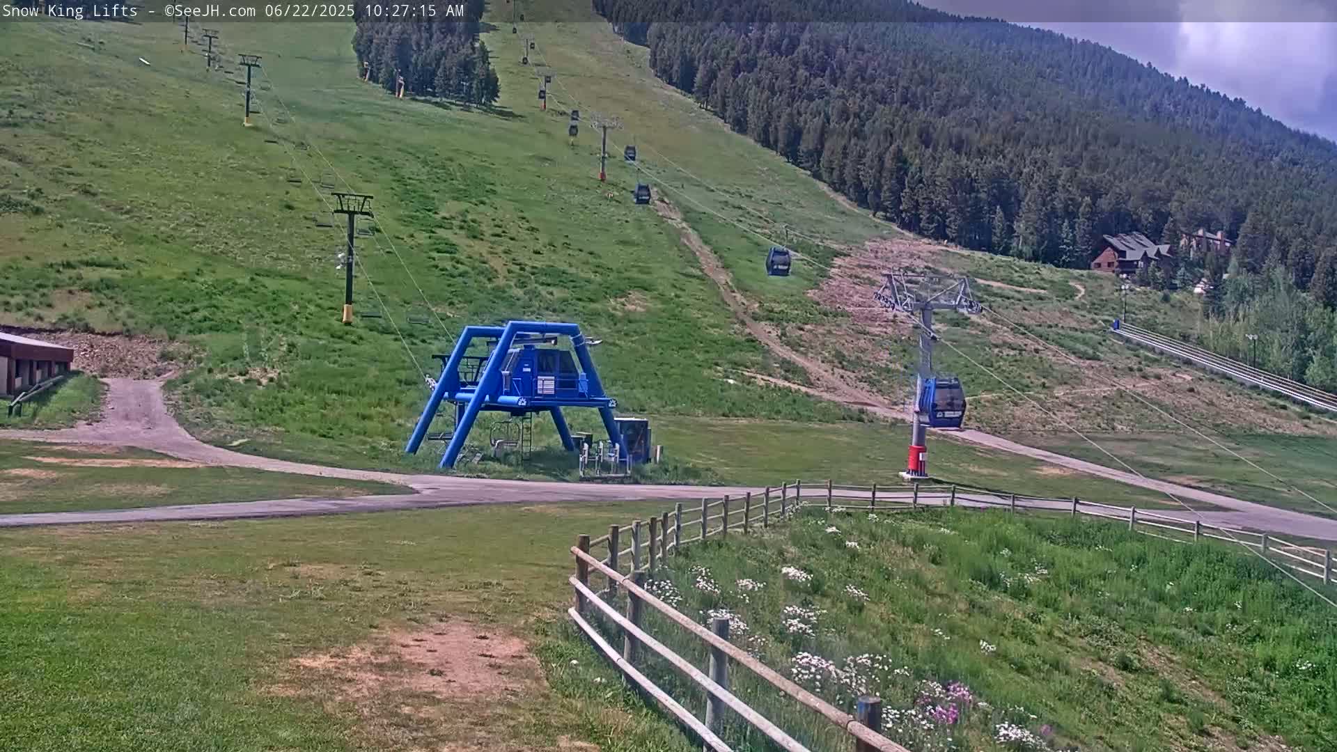 A mostly sunny day at a ski resort shows a chairlift ascending a grassy hill lined with evergreen trees.