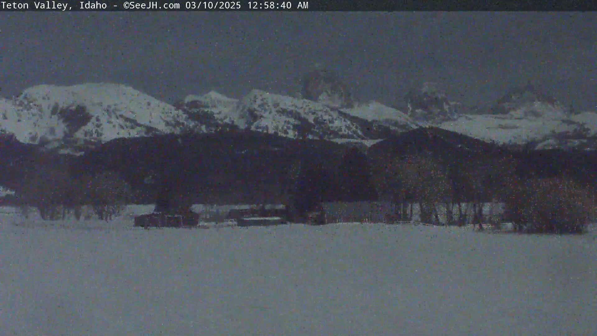 A snow-covered landscape shows a line of dark trees in front of snow-capped mountains under a dusky sky.