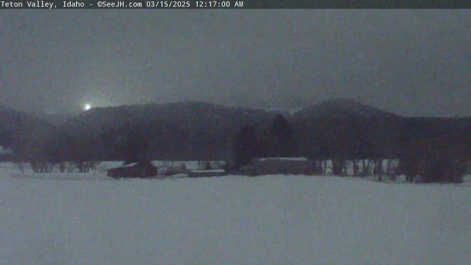 A snow-covered landscape with dark trees and a building in the foreground under a gray, overcast sky.