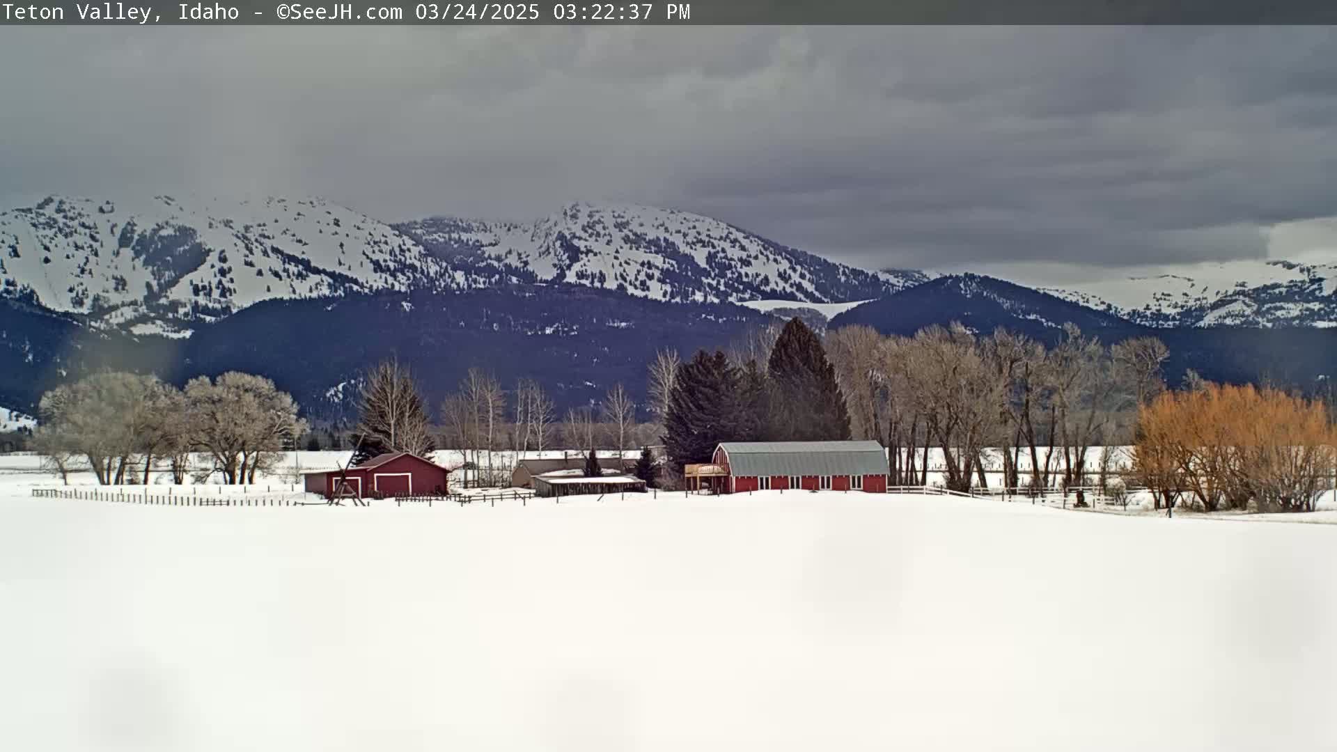 A snow-covered field with two red barns sits in front of leafless trees and snow-capped mountains under a cloudy sky.