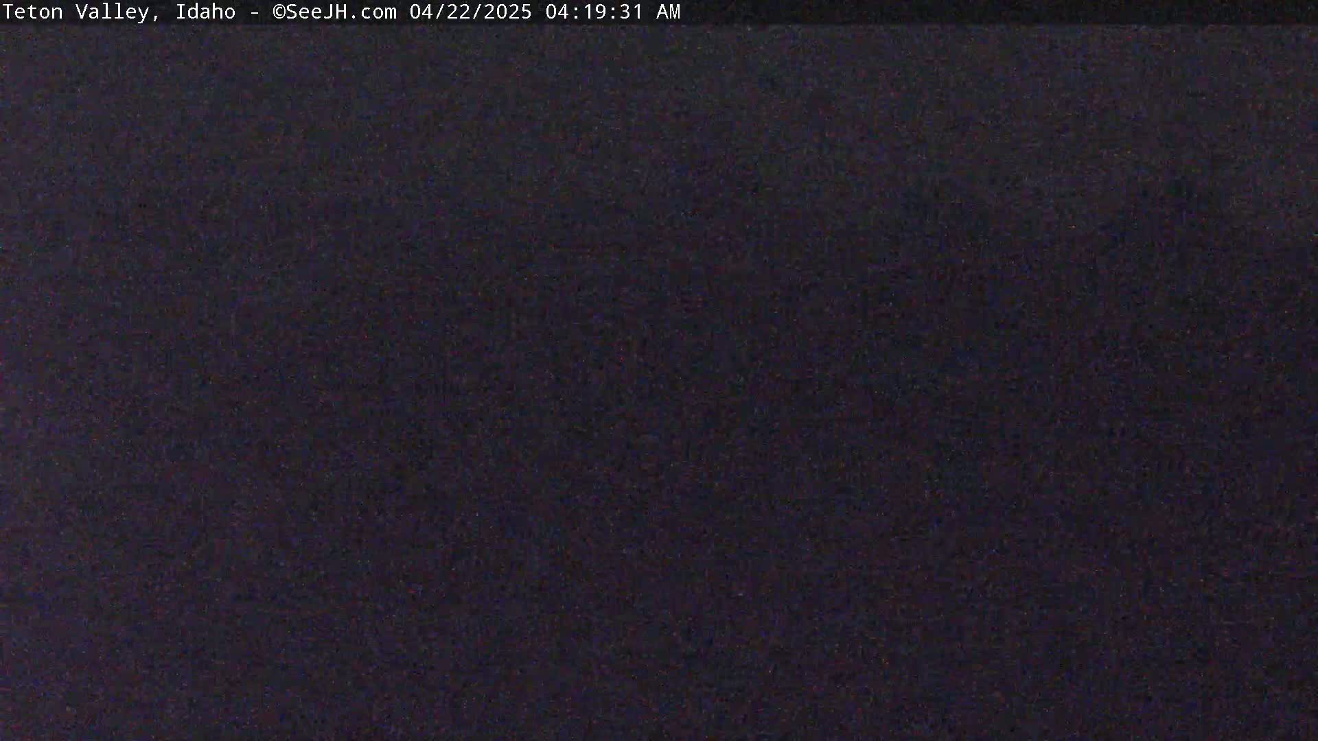 The image shows a dark, uniformly colored surface, possibly at night.