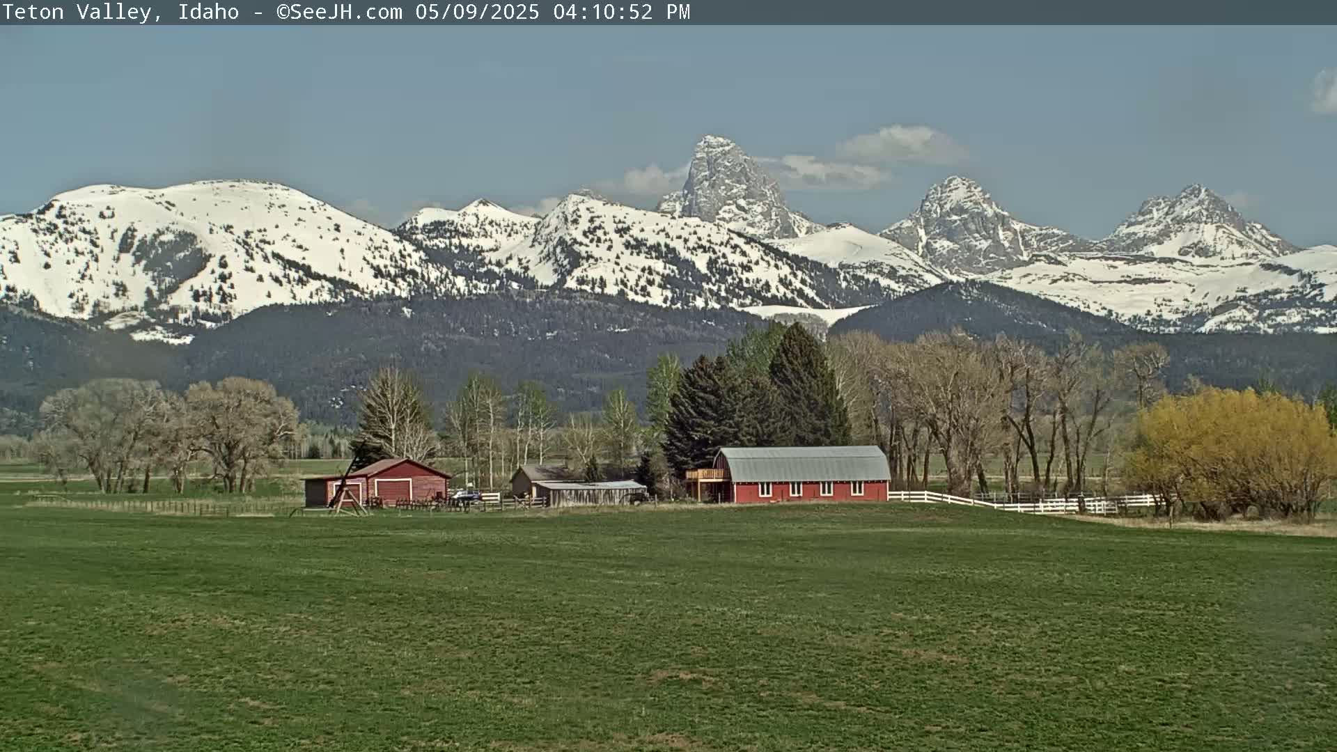 A green field with two red barns sits in front of snow-capped mountains under a mostly clear sky.