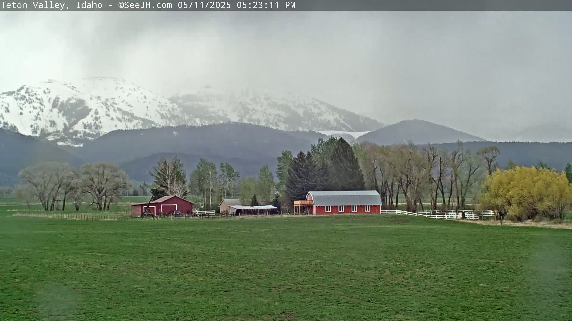 A grassy field with two red barns sits in front of snow-capped mountains under an overcast sky.
