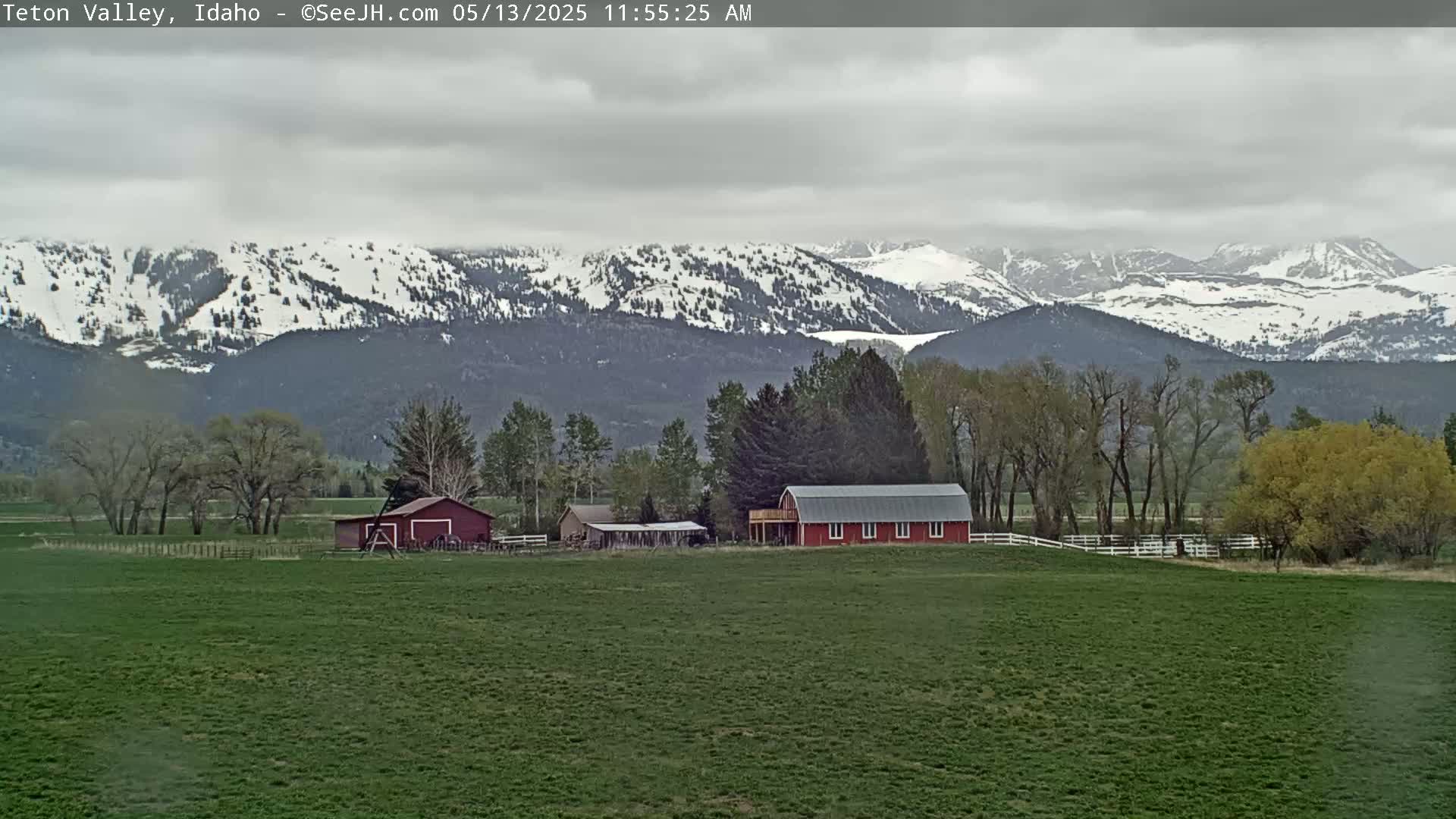 Grand Teton Mountains Peaks from Teton Valley Live Cam - Tetonia, Teton, Idaho, USA