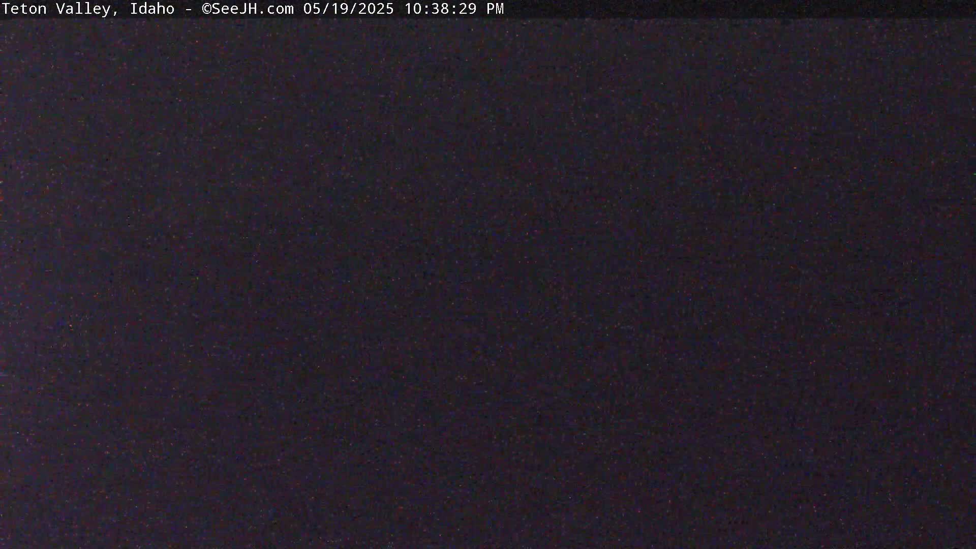 A dark, nighttime image shows a uniformly colored, grainy, dark purplish-black surface.