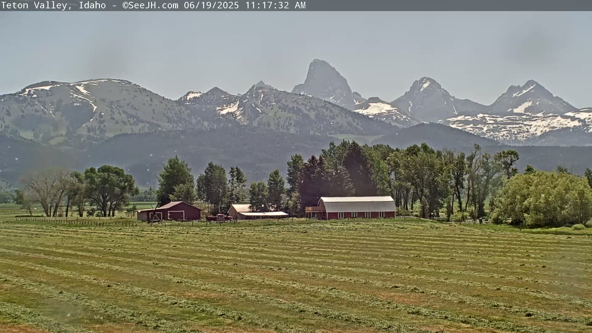 A freshly cut hay field stretches before a red barn and other farm buildings, with snow-capped mountains visible in the hazy distance under a mostly clear sky.