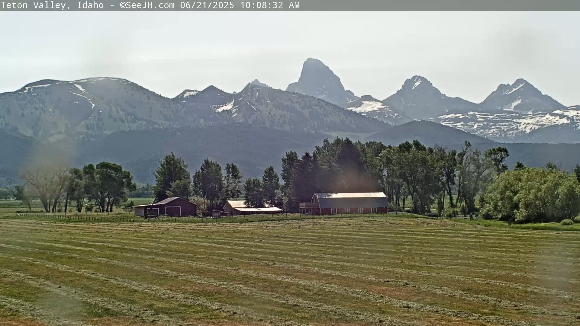 A freshly cut hay field sits in front of a red barn and other farm buildings, with snow-capped mountains in the background under a hazy sky.