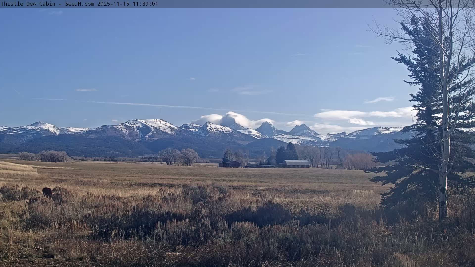 Grand Teton Mountains Peaks from Teton Valley Thistle Dew Cabin Live Cam - Tetonia, Teton, Idaho, USA