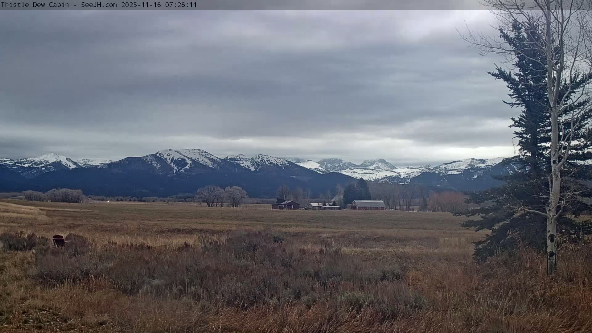Grand Teton Mountains Peaks from Teton Valley Thistle Dew Cabin Live Cam - Tetonia, Teton, Idaho, USA