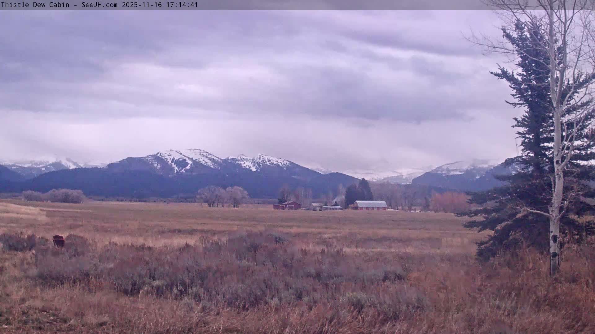 Grand Teton Mountains Peaks from Teton Valley Thistle Dew Cabin Live Cam - Tetonia, Teton, Idaho, USA