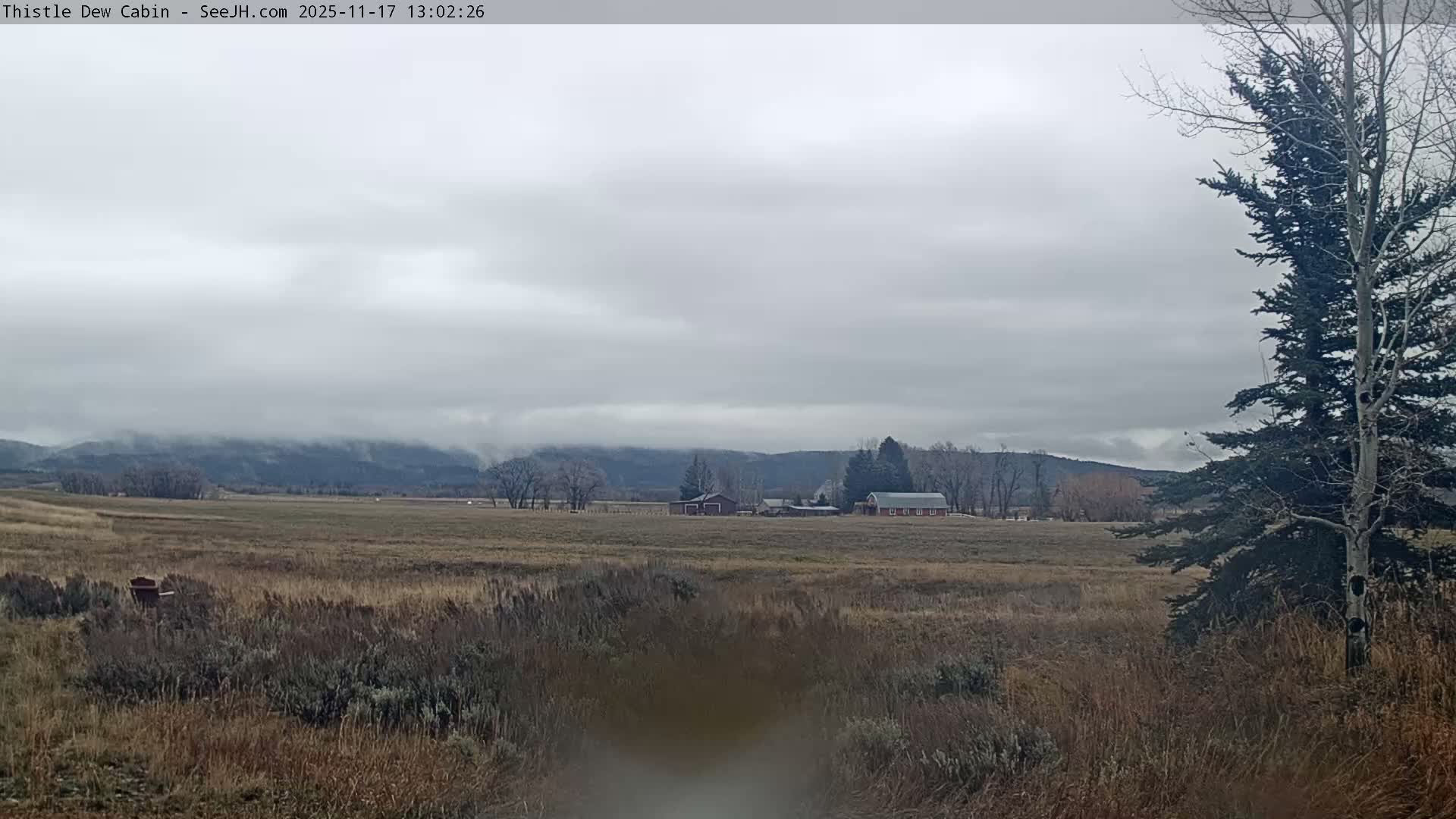 Grand Teton Mountains Peaks from Teton Valley Thistle Dew Cabin Live Cam - Tetonia, Teton, Idaho, USA