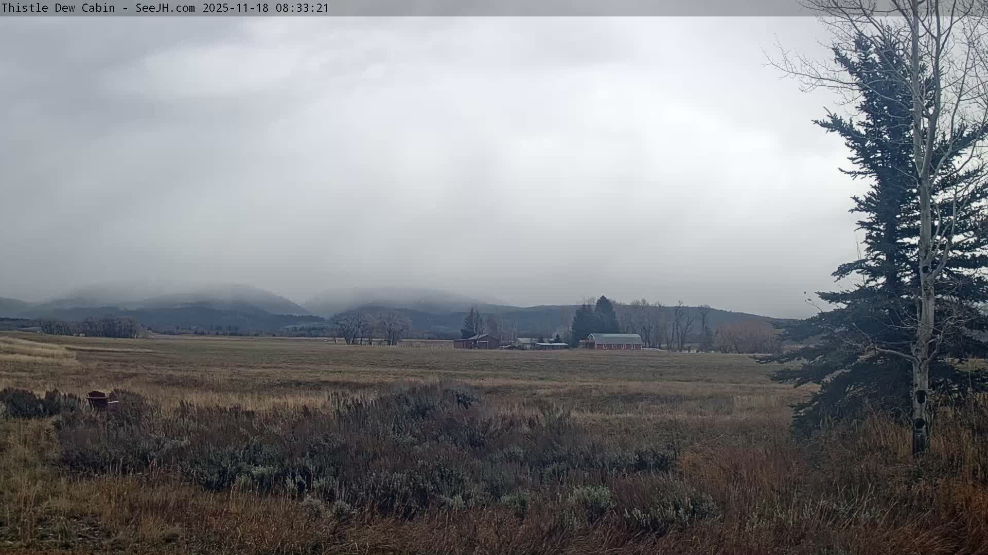 Grand Teton Mountains Peaks from Teton Valley Thistle Dew Cabin Live Cam - Tetonia, Teton, Idaho, USA