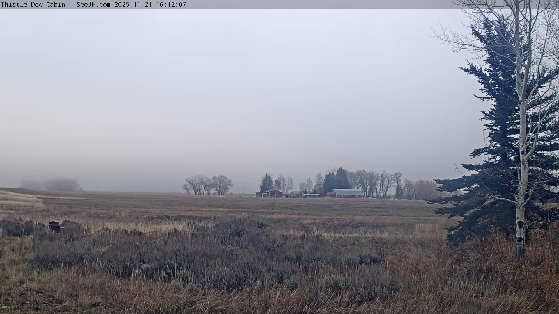 Grand Teton Mountains Peaks from Teton Valley Thistle Dew Cabin Live Cam - Tetonia, Teton, Idaho, USA