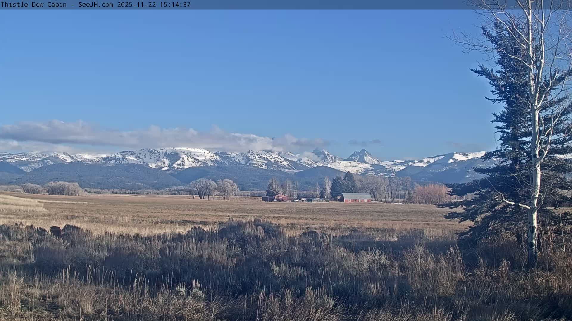 Grand Teton Mountains Peaks from Teton Valley Thistle Dew Cabin Live Cam - Tetonia, Teton, Idaho, USA
