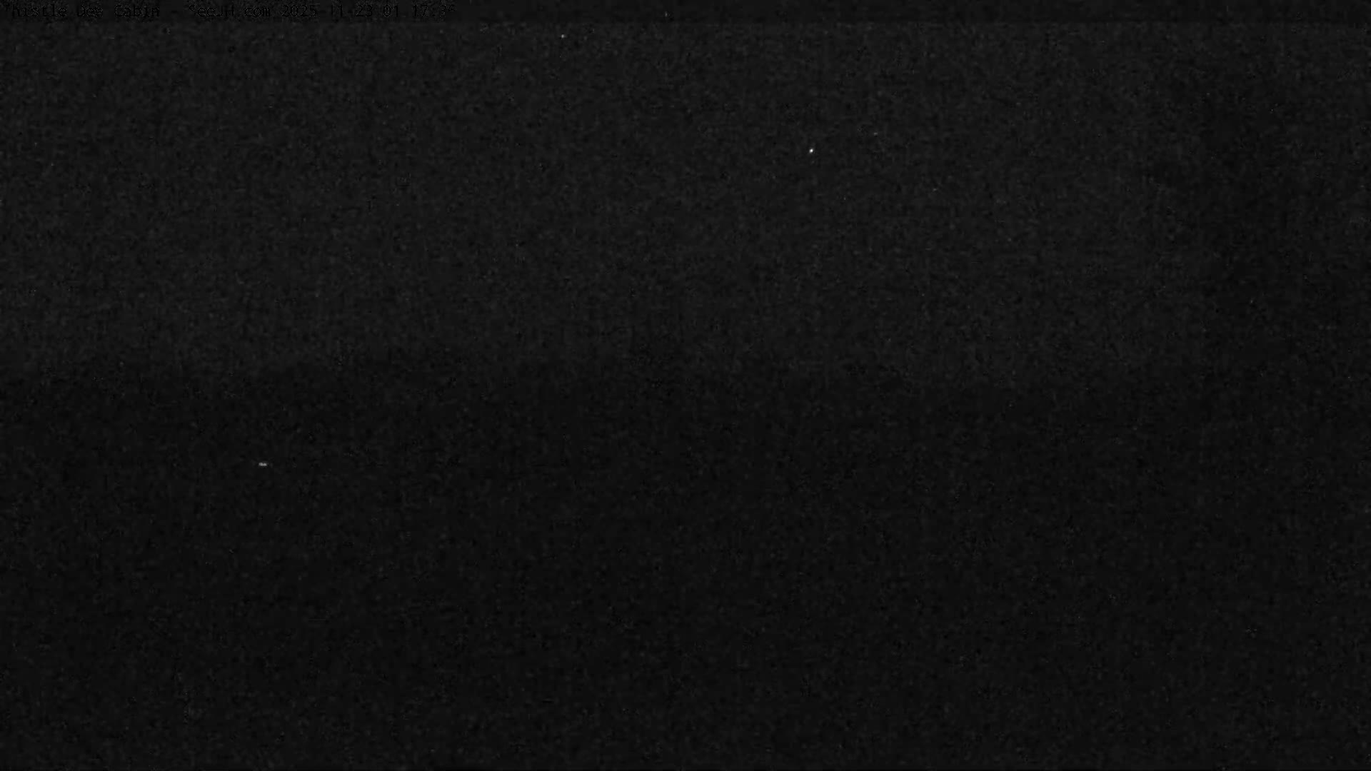 The image displays an extremely dark outdoor scene at night, predominantly black with a subtle grainy texture and a few scattered, very faint white specks, indicative of extremely low light conditions.